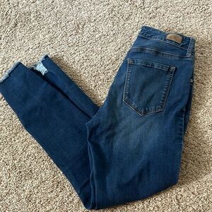 Sofia Vergara jeans- Rosa curvy ankle skinny jeans